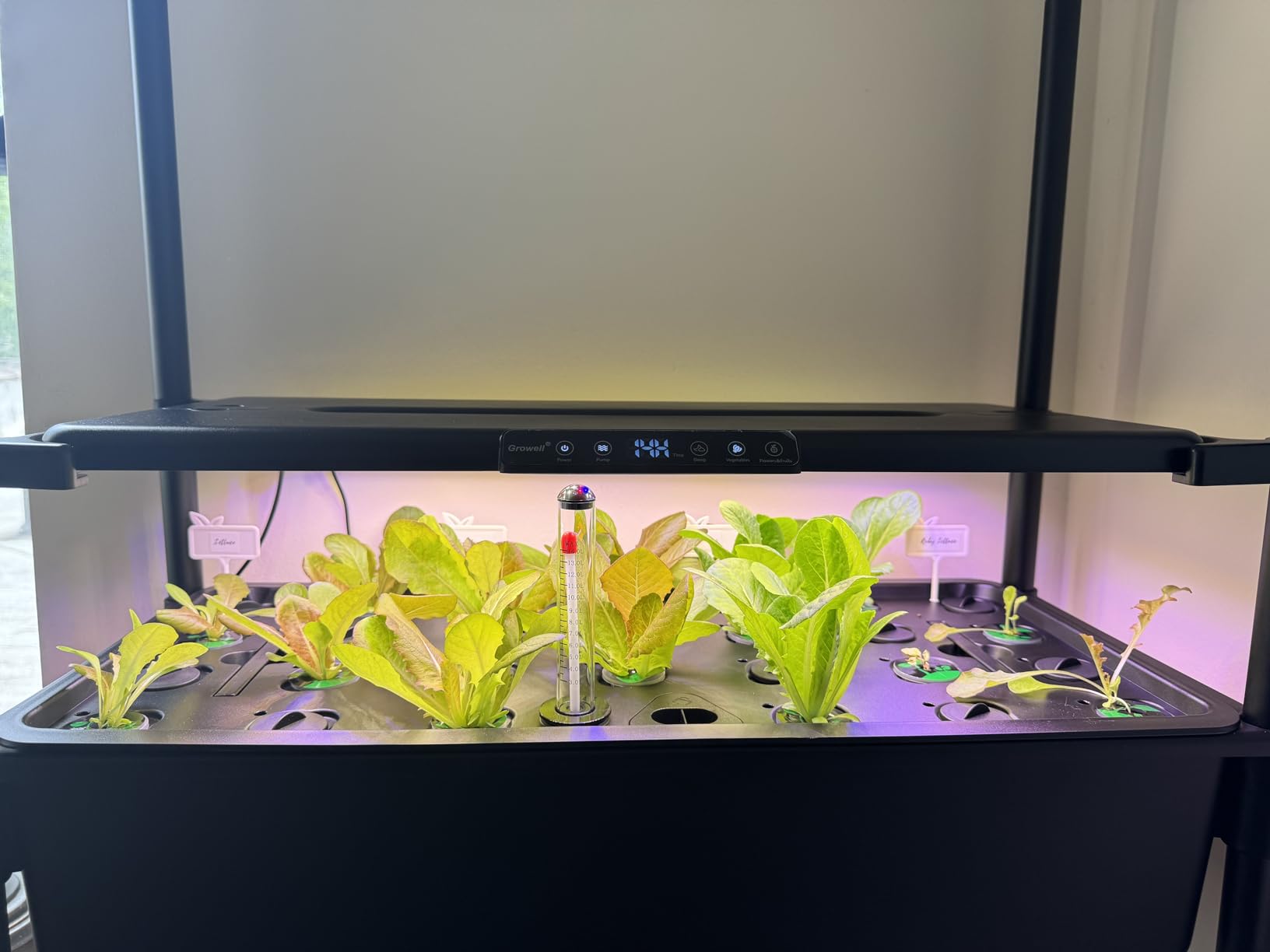 Growell 81 Pods Hydroponics Growing System Kit with Independent Water Pump customer photo 1