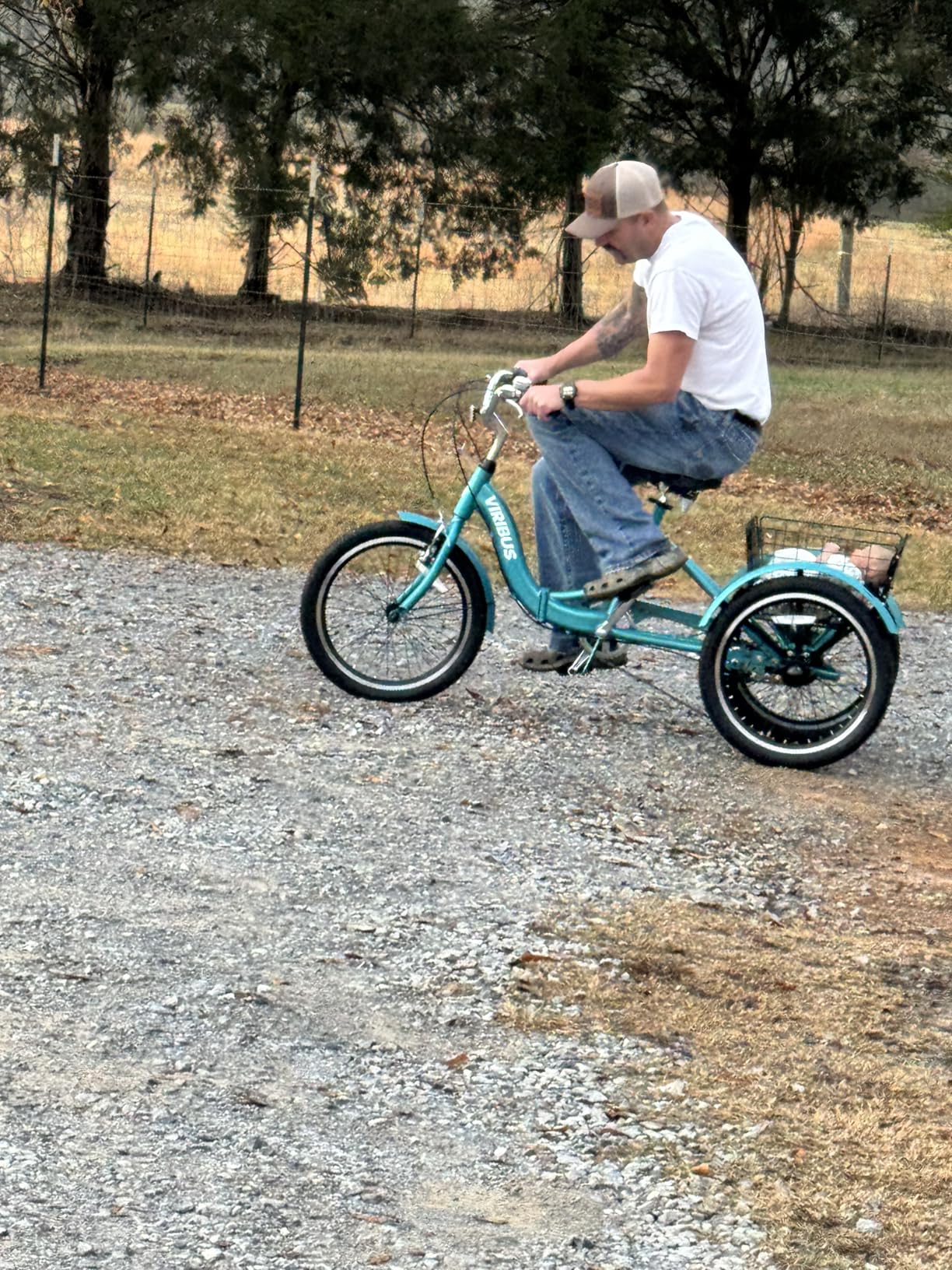 VIRIBUS Folding Tricycle for Adults customer photo 1