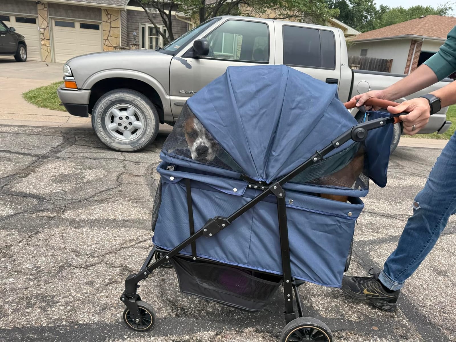 Dog Stroller for Medium & Large Dogs Up to 66 lbs, Pet Stroller for 2 Small Dogs with Adjustable Handle & Canopy, Sun Shades, Storage Organizer, Foldable & Ventilated, Black customer photo 1