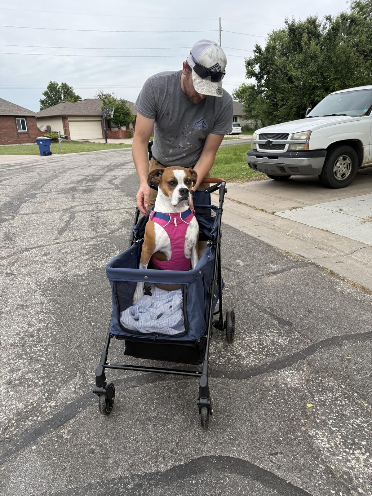 Dog Stroller for Medium & Large Dogs Up to 66 lbs, Pet Stroller for 2 Small Dogs with Adjustable Handle & Canopy, Sun Shades, Storage Organizer, Foldable & Ventilated, Black customer photo 2