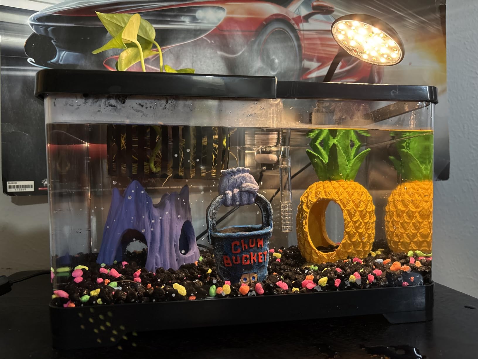 1.8 Gallon Beta Fish Tank Aquariums Kits - Clear Small Fish Bowl Starter Kit with LED Light, Water Filter Pump, Hydroponic Basket - Beginner's Gift for Guppy Shrimp Goldfish, Rectangular customer photo 1