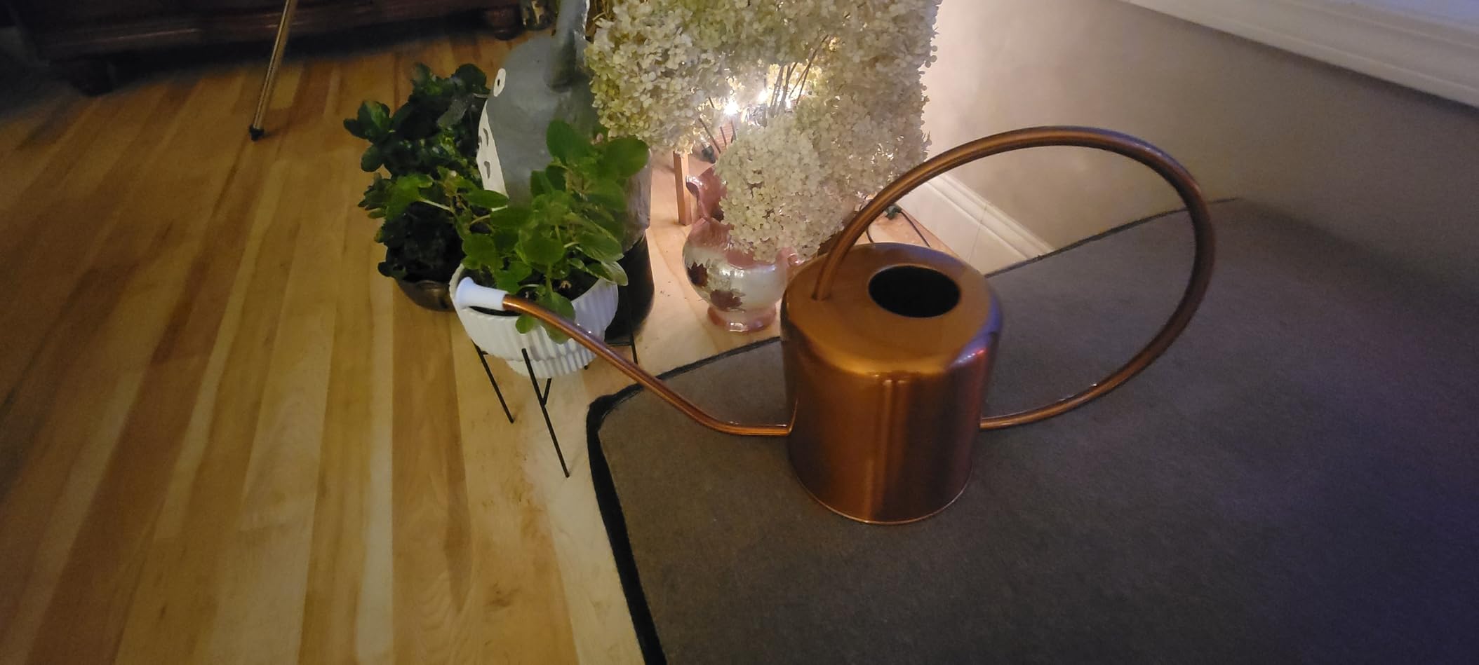 Plant Watering Can, 50 oz / 1500 ml Stainless Steel Metal - Modern Decorative with Long Spout for Indoor Potted Plants, Bonsai, Garden Flowers, Copper customer photo 1