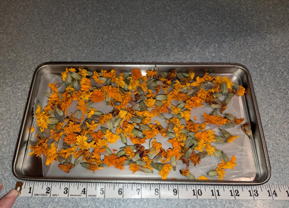 Metal Trays for Harvest Right Freeze Dryer, Large Freeze Dryer accessories | Compatible with Harvest Right Freeze Dryer Large Trays (6 Pcs) + 22 Original Tray Stackers Included, 2-year warranty customer photo 1