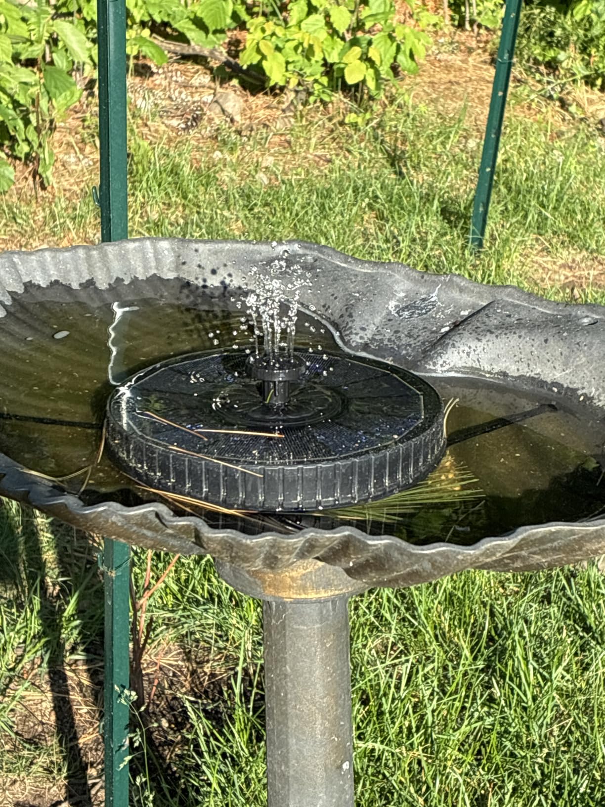 Yzert Solar Fountain with 2000mah Battery, 3-Level Adjustable Water Height, Rotating Rods, Works in Shadow, 7 Nozzles, 2026 3.5W Glass Outdoor Fountain Pump for Bird Bath, Garden, Pond, Flower Pot customer photo 2