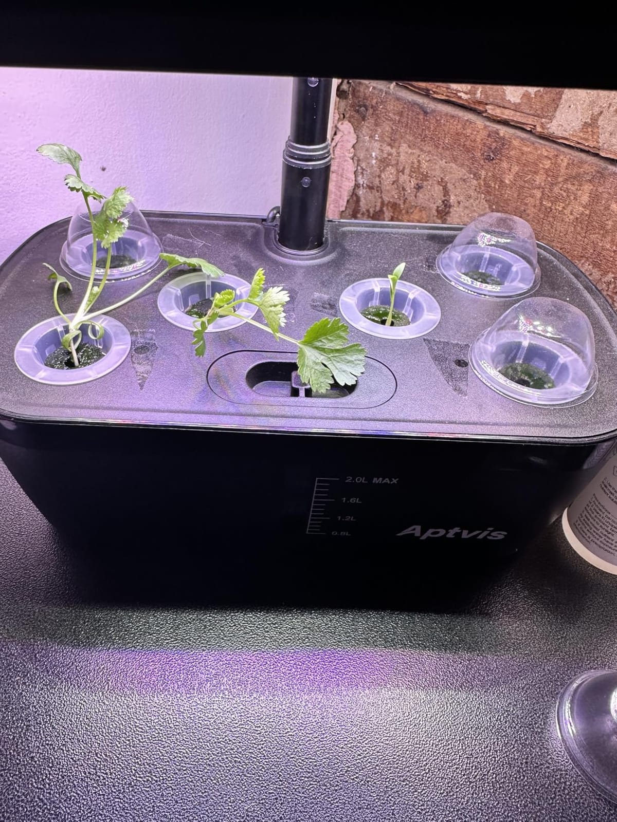 Hydroponics Growing System, 6 Pods Smart Indoor Herb Garden - Black customer photo 2