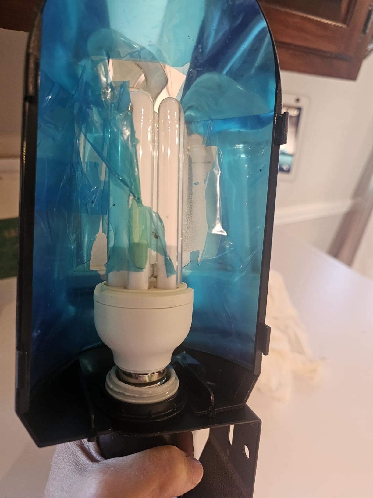 GlowUp UVB 2.4 Bird Cage Light Combo Kit, 20W UVB Bird Light Bulb, Deep U-Shaped Lamp Fixture with Compact Fluorescent Bulb E26 for Captive Birds, Reptiles customer photo 1