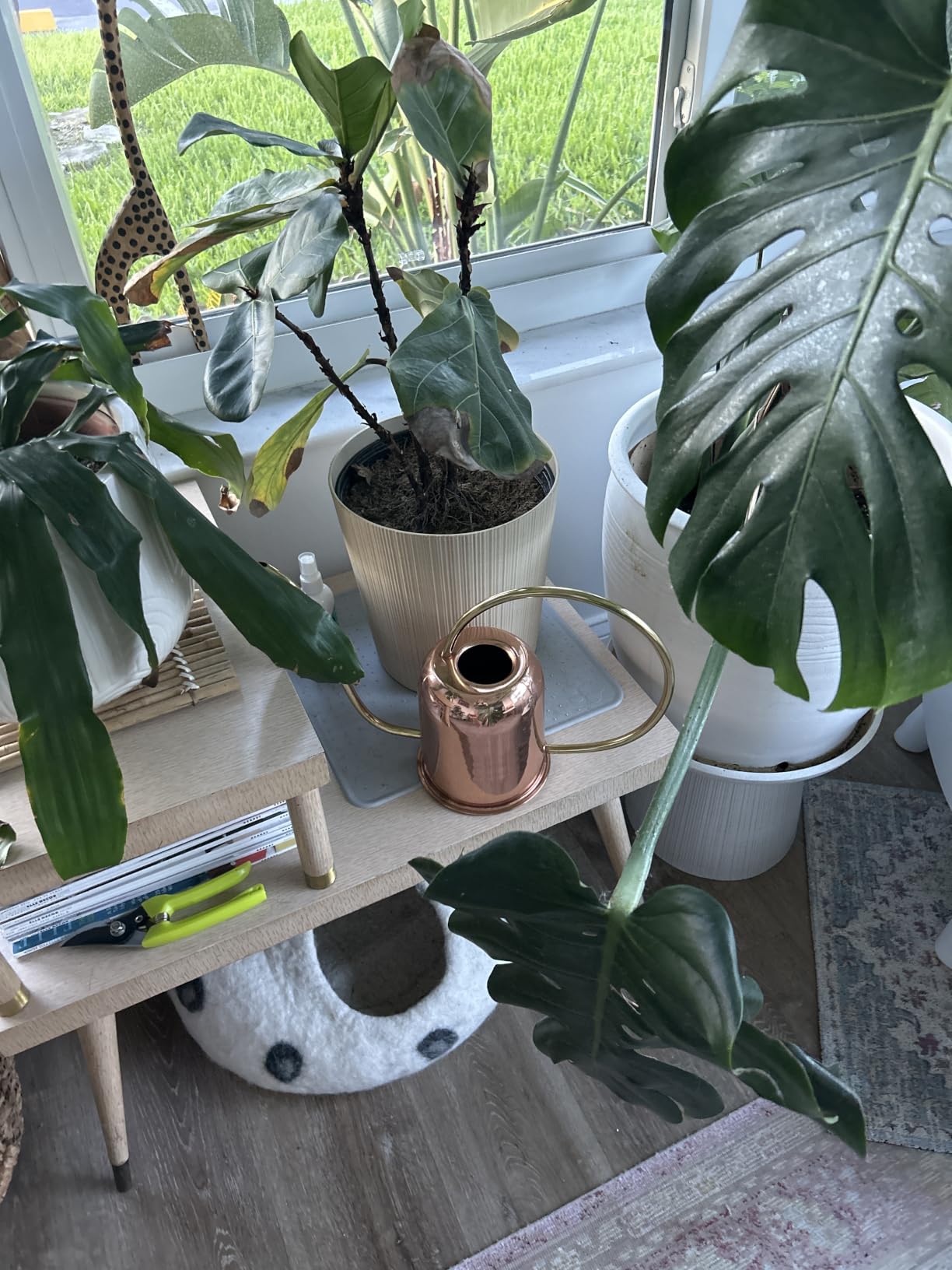 Copper Watering Can Indoor Plants - 48oz Long Spout Precise Small Water Can for Plants, Bonsai, Succulents, Houseplants, or Garden - Metal Inside or Outdoor Plant Watering Cans by Kings County Tools customer photo 2