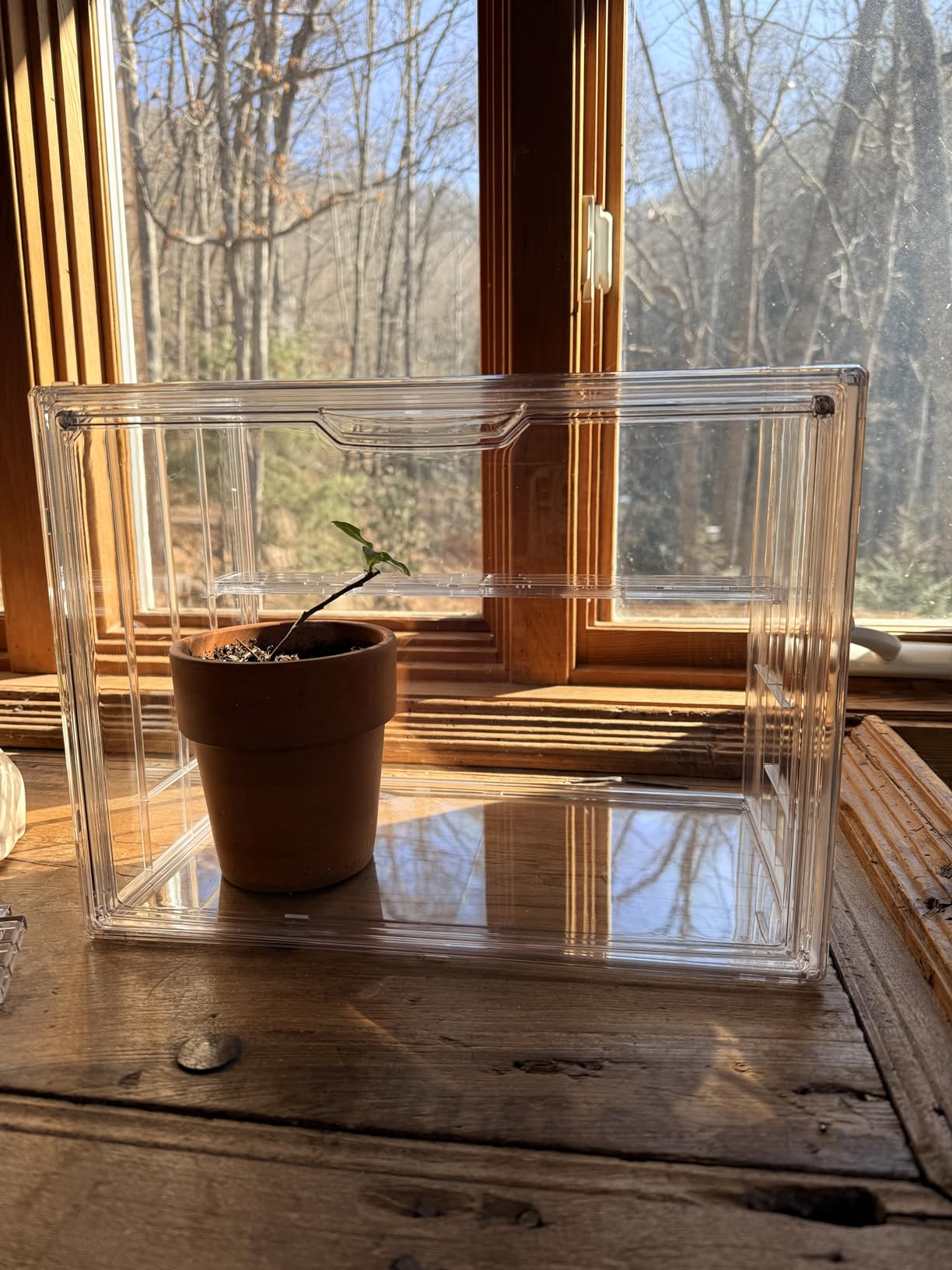 Mini Greenhouse Indoor with Magnetic Door, M-4tier-1pcs | Retains Warmth & Moisture, Durable Construction, Magnetic Door, Adjustable Dividers Fit Different Plants, Tool-Free Assembly customer photo 2