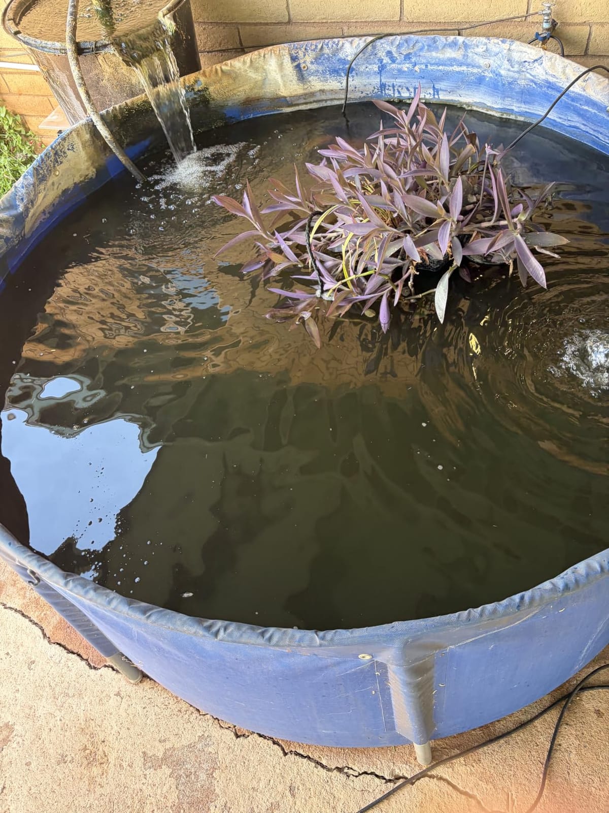 Submersible Pond Filter with Powerful 18W UV Light for Pond Algae Control | 660 GPH 42W High-Performance Pump Build in for 1500 Gal Pond, 3 Spray Patterns Pond Fountain Decoration for Your Pond customer photo 1