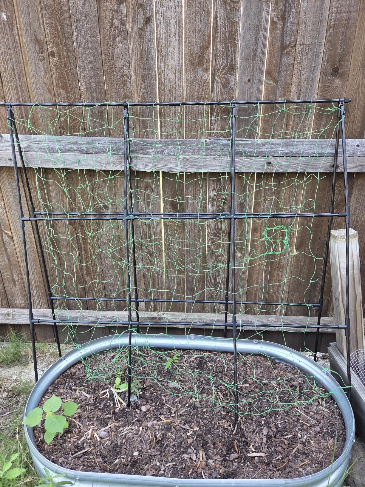 Garden Arch Trellis for Climbing Plants Outdoor - 83