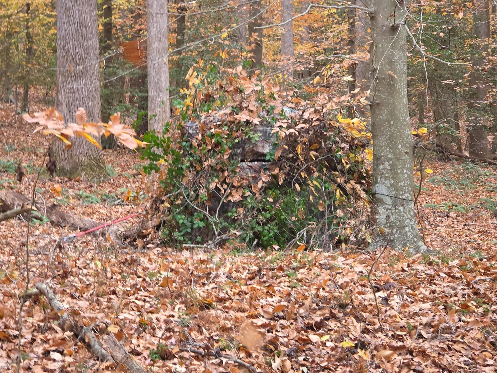 TLC Sport Hunting Blind, 360° See Through Ground Blind for 2-4 Person | Pop-up Design, Silent Sliding Windows, Portable & Concealed, Camouflage Hunting Tent with Carrying bag customer photo 1