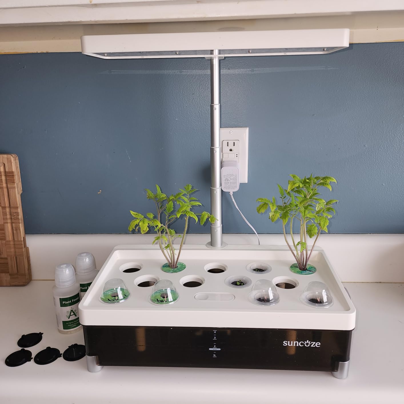 SUNCOZE Hydroponics Growing System 13 Pods, with Dimmable Light | 4L Visible Water Tank, Adjustable Height to 12.8 in, Digital Timer customer photo 1