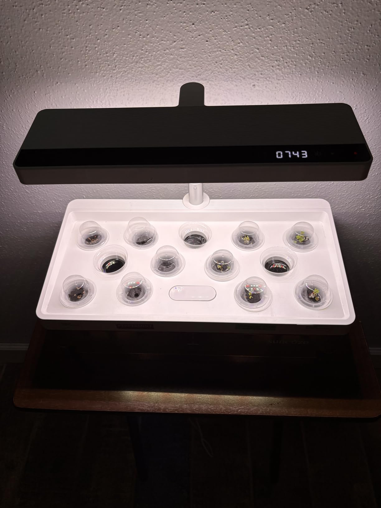 SUNCOZE Hydroponics Growing System 13 Pods, with Dimmable Light | 4L Visible Water Tank, Adjustable Height to 12.8 in, Digital Timer customer photo 2