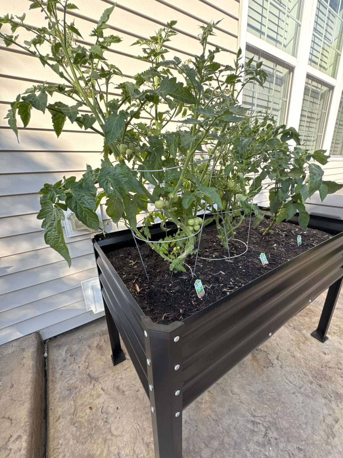 Large Galvanized Raised Garden Bed Outdoor with Legs, Load Capacity 1200LB, 48x26x30in Raised Garden Bed, for Backyard/Patio/Balcony/Gardening/Vegetables Flowers, Black customer photo 1