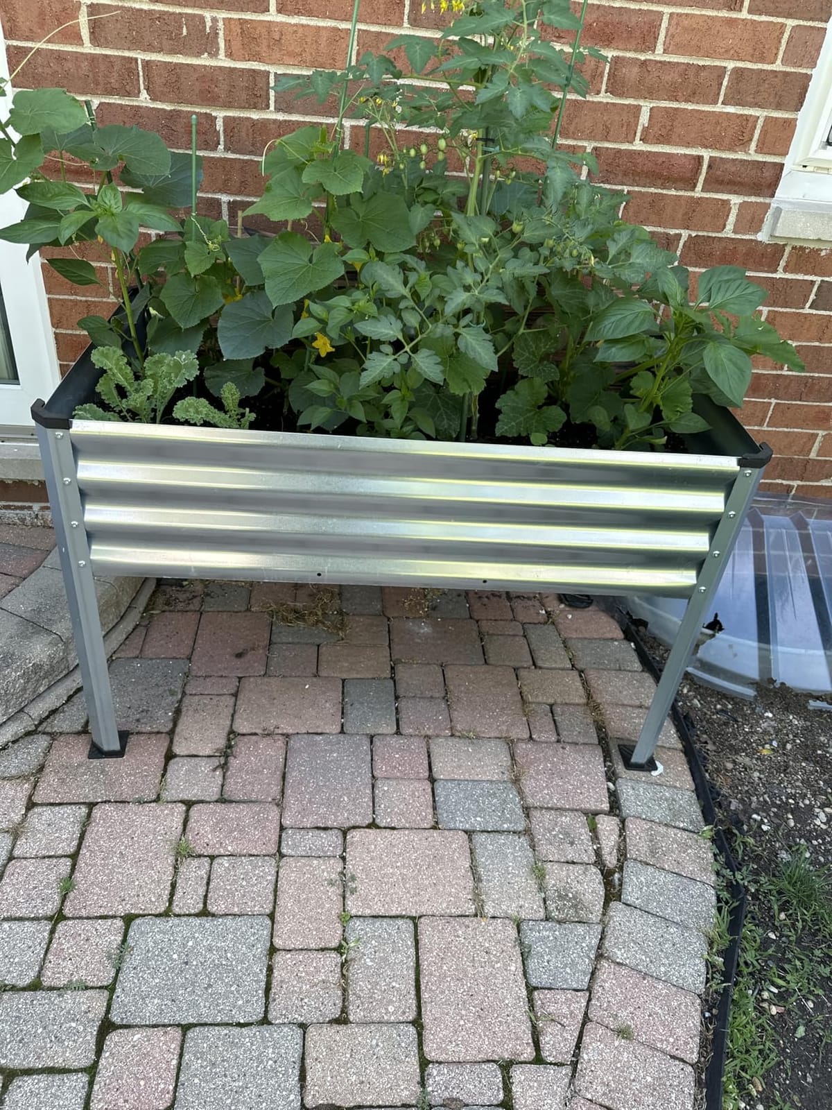 Large Galvanized Raised Garden Bed Outdoor with Legs, Load Capacity 1200LB, 48x26x30in Raised Garden Bed, for Backyard/Patio/Balcony/Gardening/Vegetables Flowers, Black customer photo 2