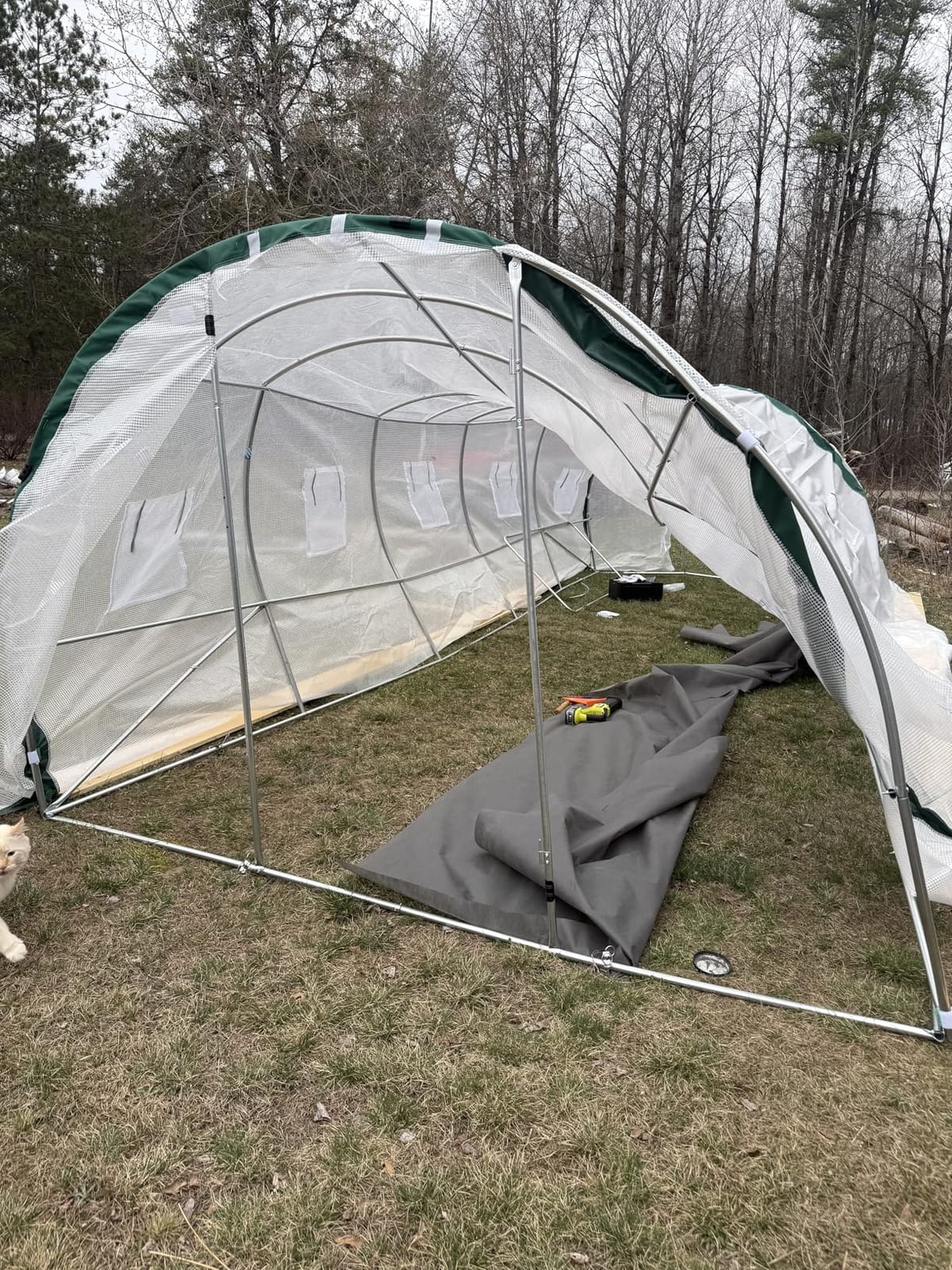 Quictent 20x10x6.6 FT Premium Greenhouse for Outdoors with 2 Door Frames | Reinforced Top Structure & Cover, Large Heavy Duty Walk-in Tunnel Hoop Green House for Garden Backyard Flower Winter, White customer photo 1