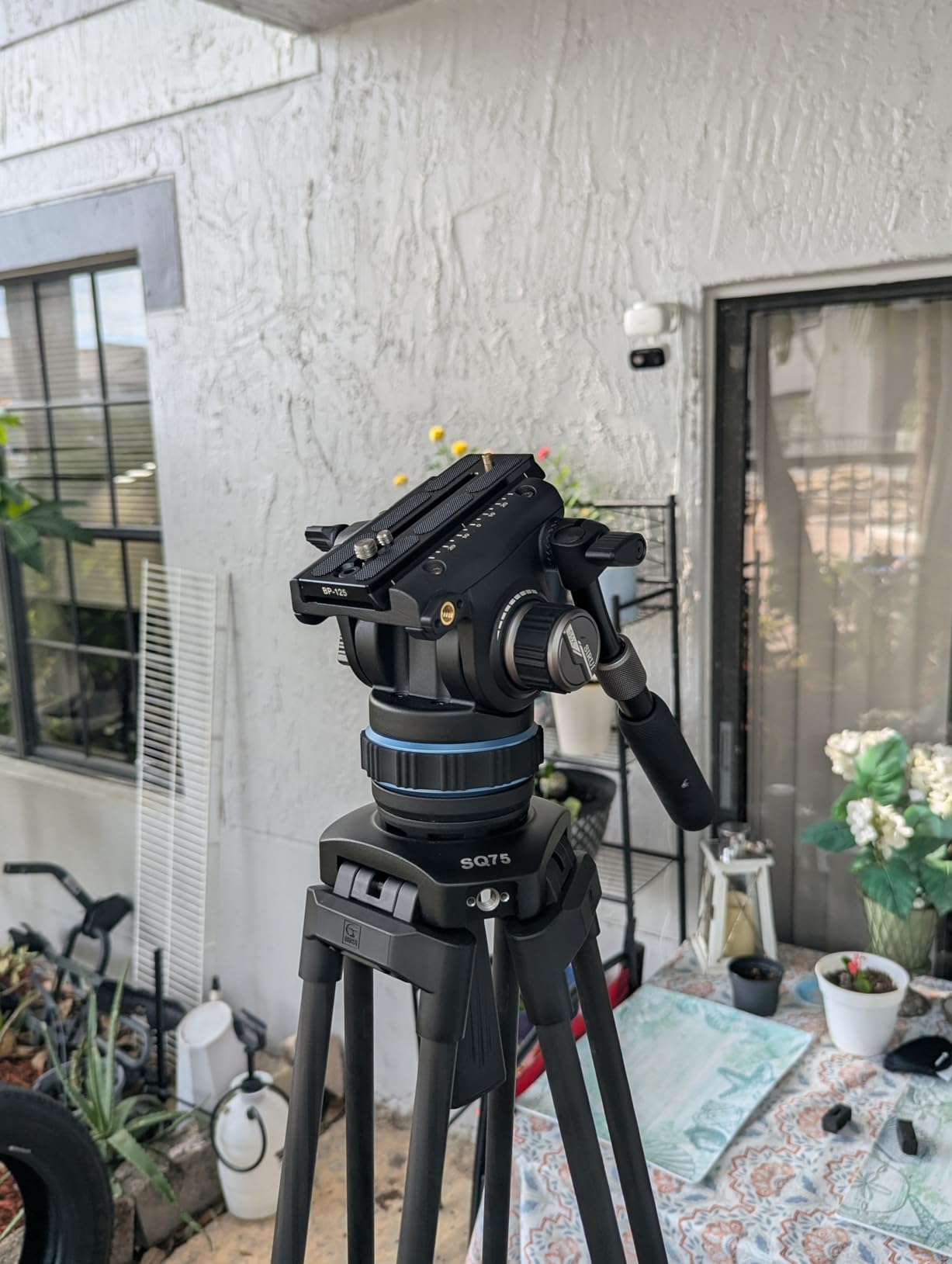 SIRUI SQ75+S5X Carbon Fiber Video Tripod Kit, S5X Fluid Head, 71