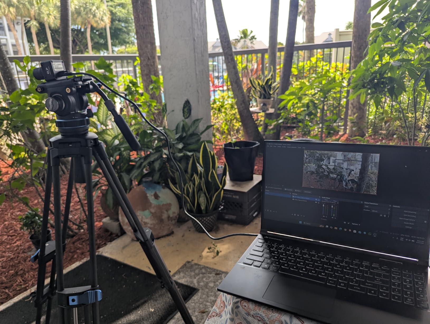 SIRUI SQ75+S5X Carbon Fiber Video Tripod Kit, S5X Fluid Head, 71