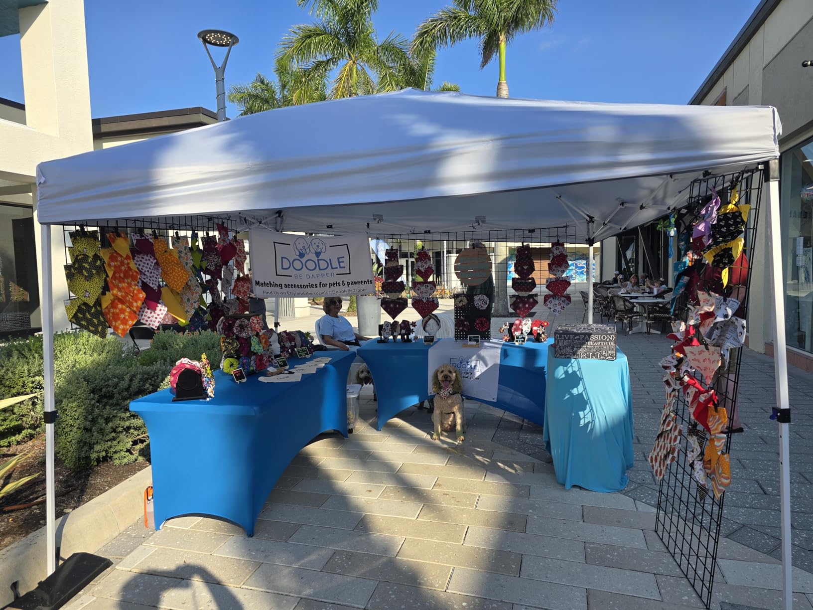 Nazhura 10' x 10' Pop Up Canopy Tent with Sand Weight Bag, Freestanding Sun Shelter for Picnic and Camping, One Person Setup and Height Adjustable (Yellow Stripe) customer photo 2