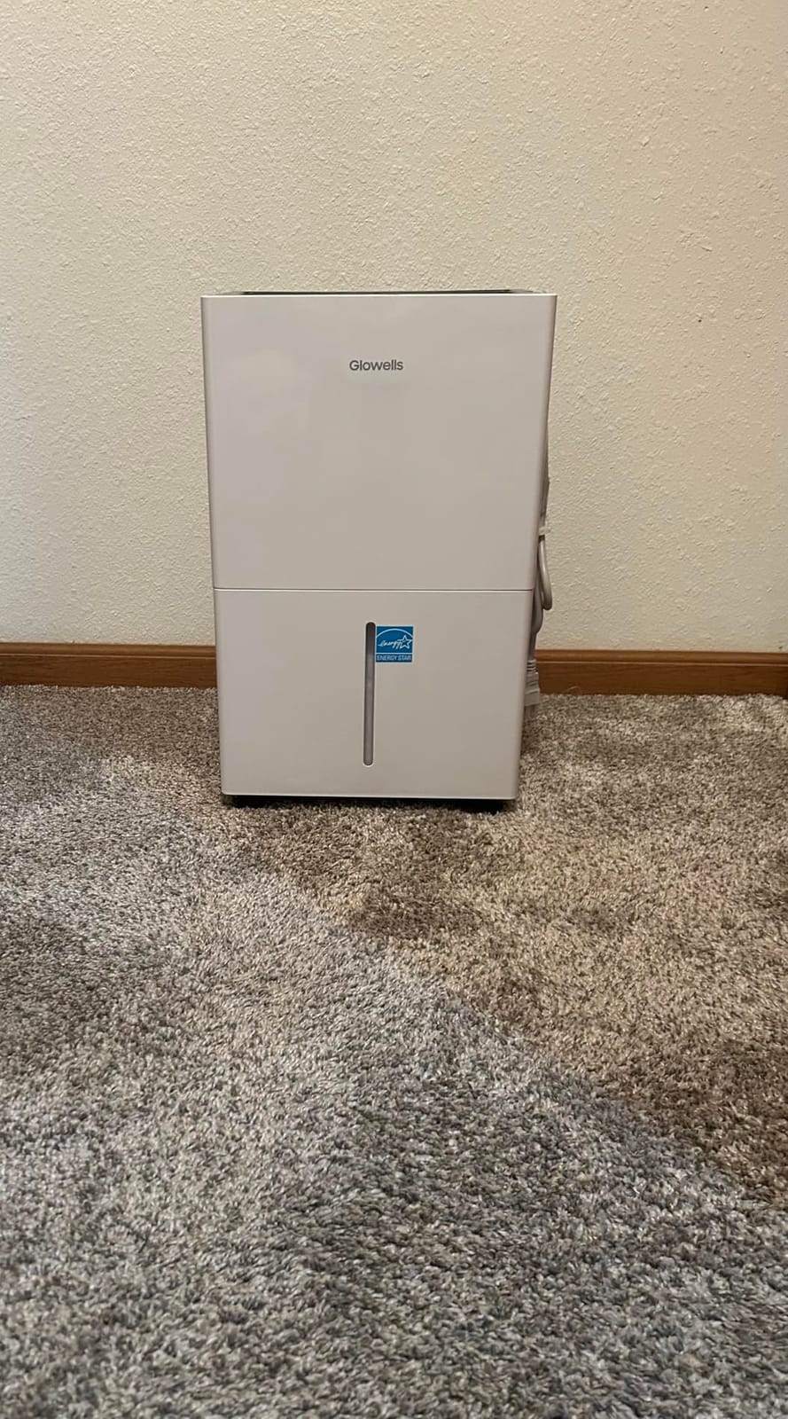 Glowells 4500 Sq.Ft Energy Star Dehumidifier for Basement with Drain Hose, 52 Pints Dehumidifiers for Home, Large Room, RV, Three Modes, Intelligent Humidistat, Quiet Smart Compressor, Auto Defrost customer photo 1