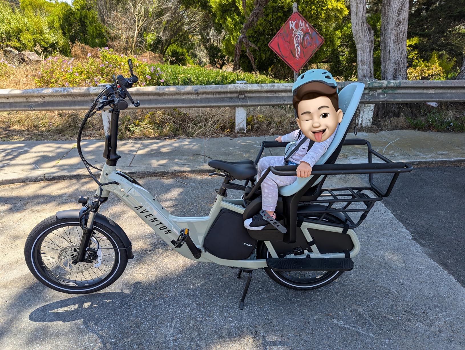 Thule Yepp 2 Mounted Child Bike seat, Adjustable footrests, 5-Point Harness and Easy to Mount Design customer photo 1