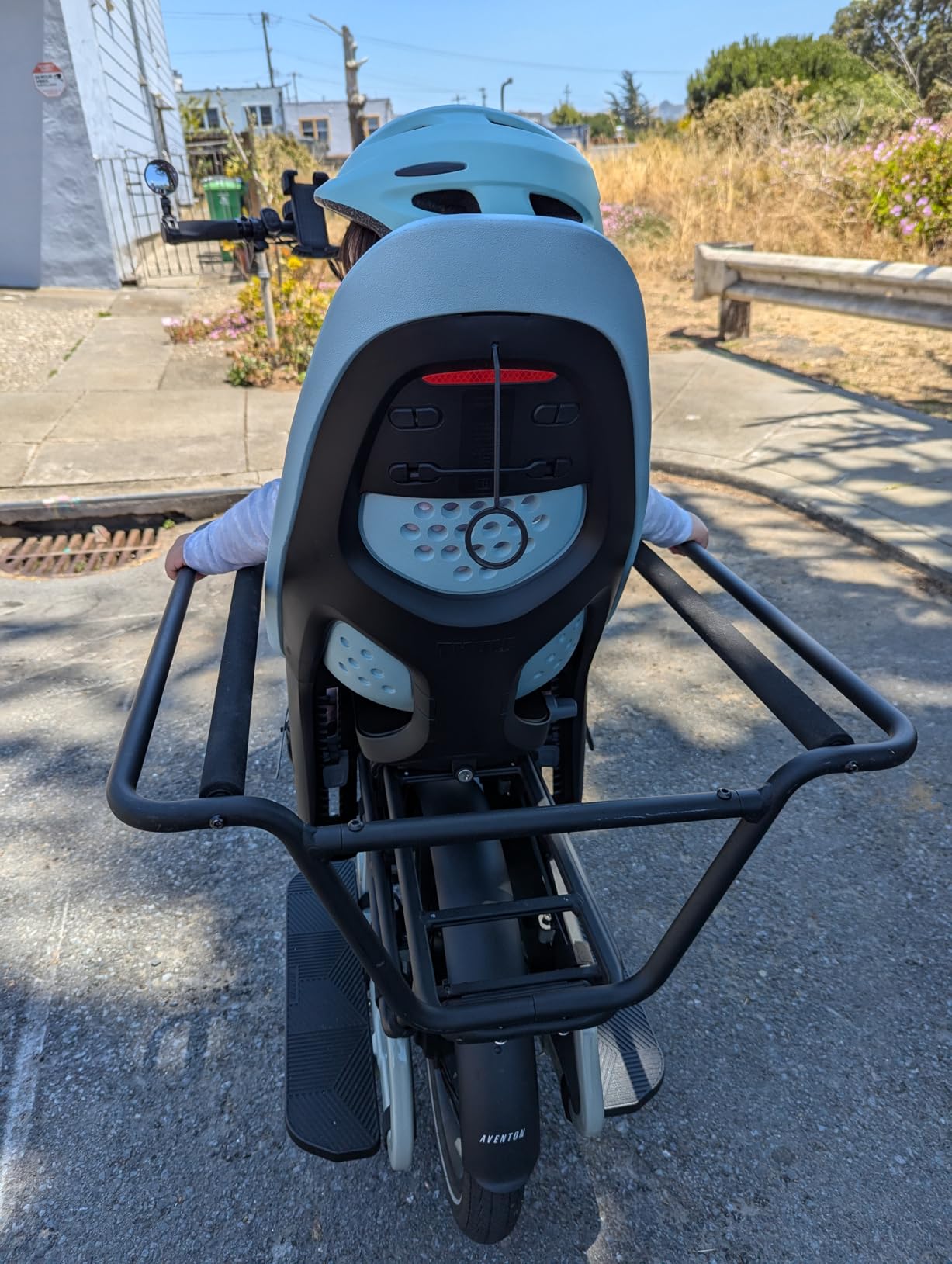 Thule Yepp 2 Mounted Child Bike seat, Adjustable footrests, 5-Point Harness and Easy to Mount Design customer photo 2