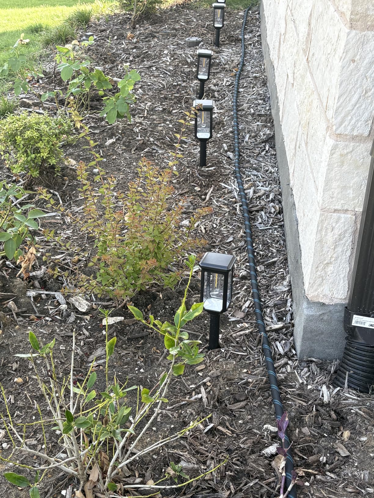 Tenmiro Solar Pathway Lights Outdoor 8 Pack, Bright Solar Garden Lights | IP65 Waterproof Shatterproof, Auto On/Off Landscape Lighting for Yard Lawn Patio Walkway Driveway Decor 3000K customer photo 1