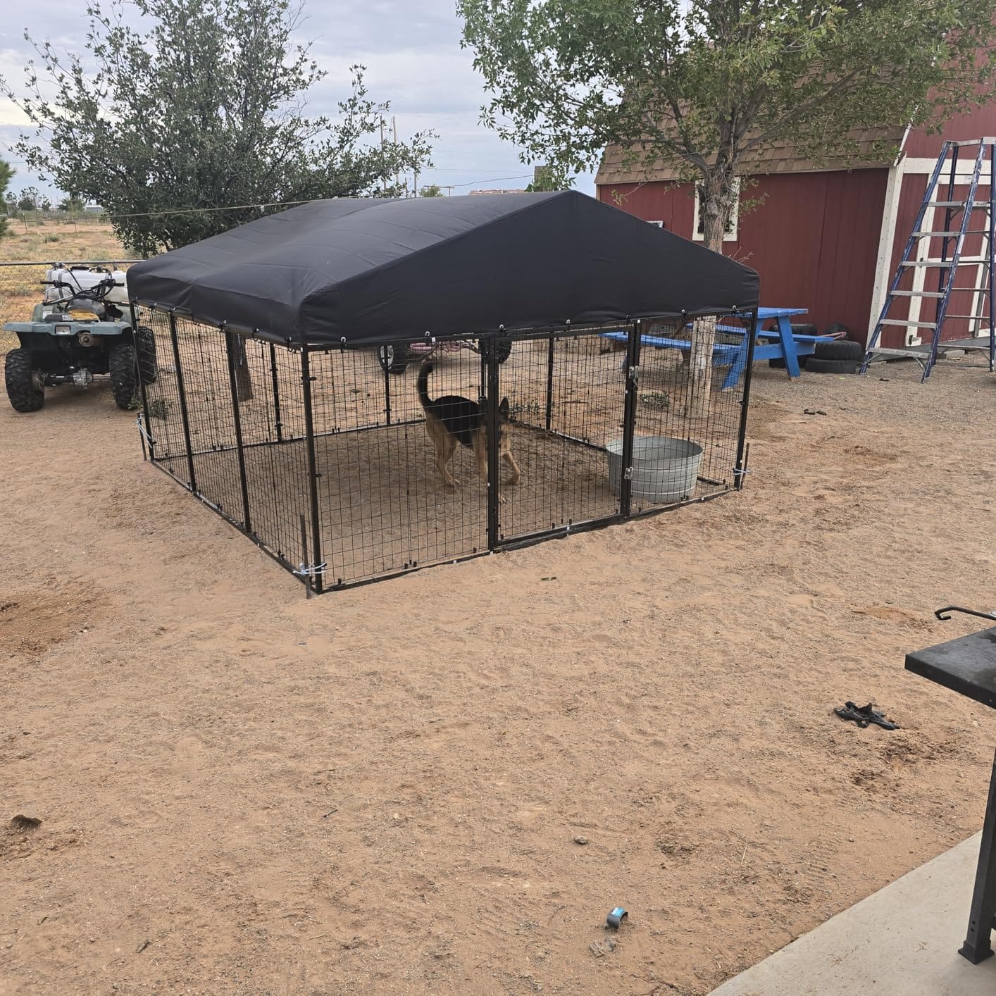 Petony Large Outdoor Dog Enclosure, Heavy Duty Dog Kennel with Roof, Galvanized Steel Dog Cage Fence with Double Safety Locks (6.56'x 6.56') customer photo 2