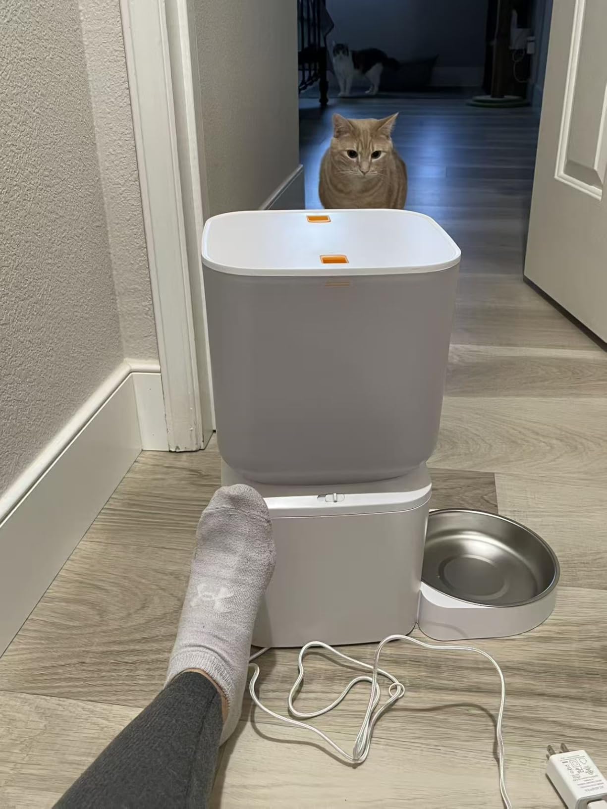 Automatic Dog Feeder - 8L/34 Cups Large Capacity Automatic Cat Food Dispenser with LCD Screen, Large Food Tray, Battery Operated, Timed Cat Feeder, Up to 50 Portions 6 Meals Per Day, Keeps Fresh customer photo 1