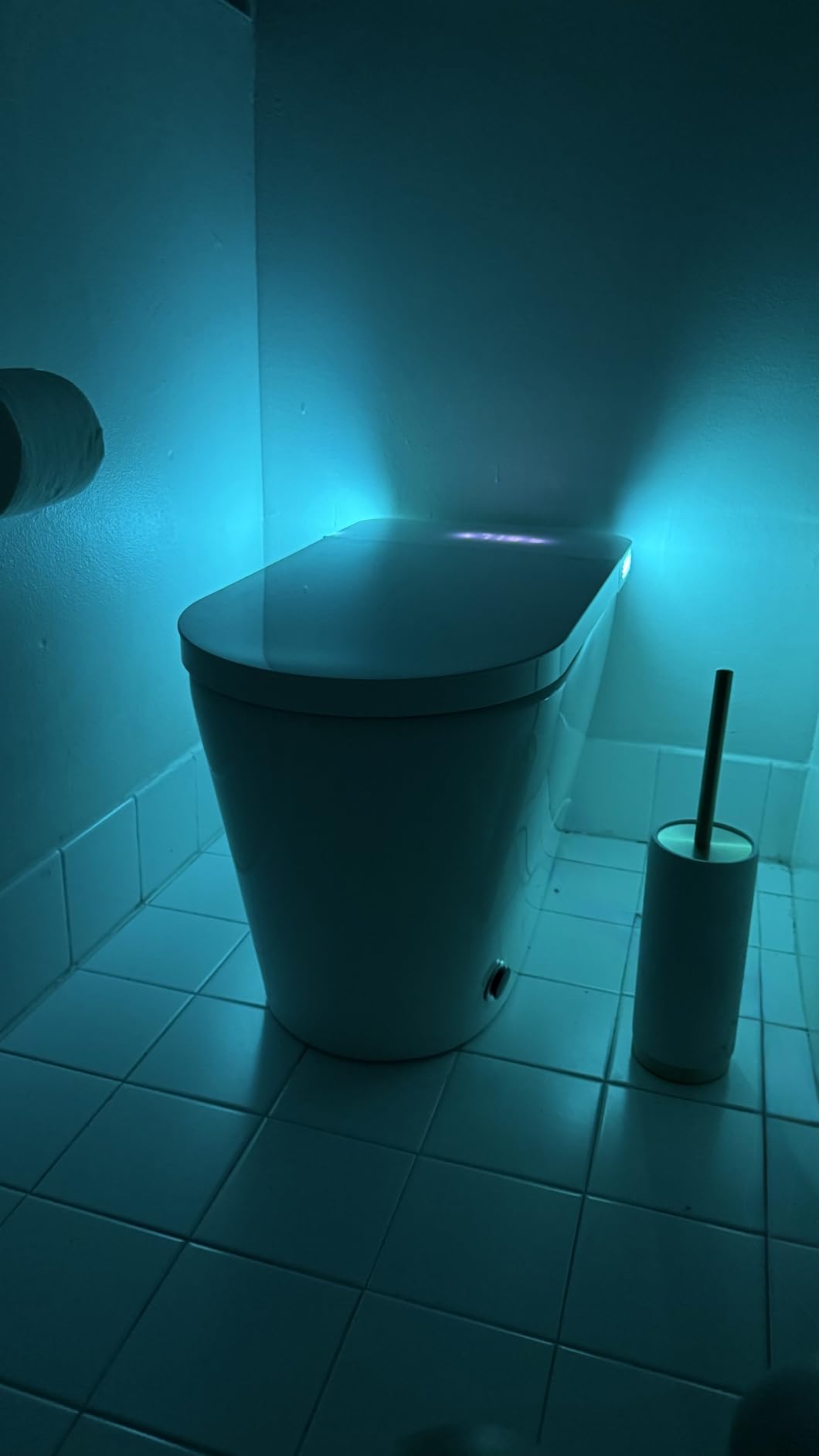 TOTTE Smart Toilet with Bidet Built-in, Auto Open/Close Lid, Auto Power 1000g MaP Flush, 1.28 GPF, One Piece Elongated Toilet with Instant Warm Water & Warm Air Dryer, Built-in Aroma customer photo 1
