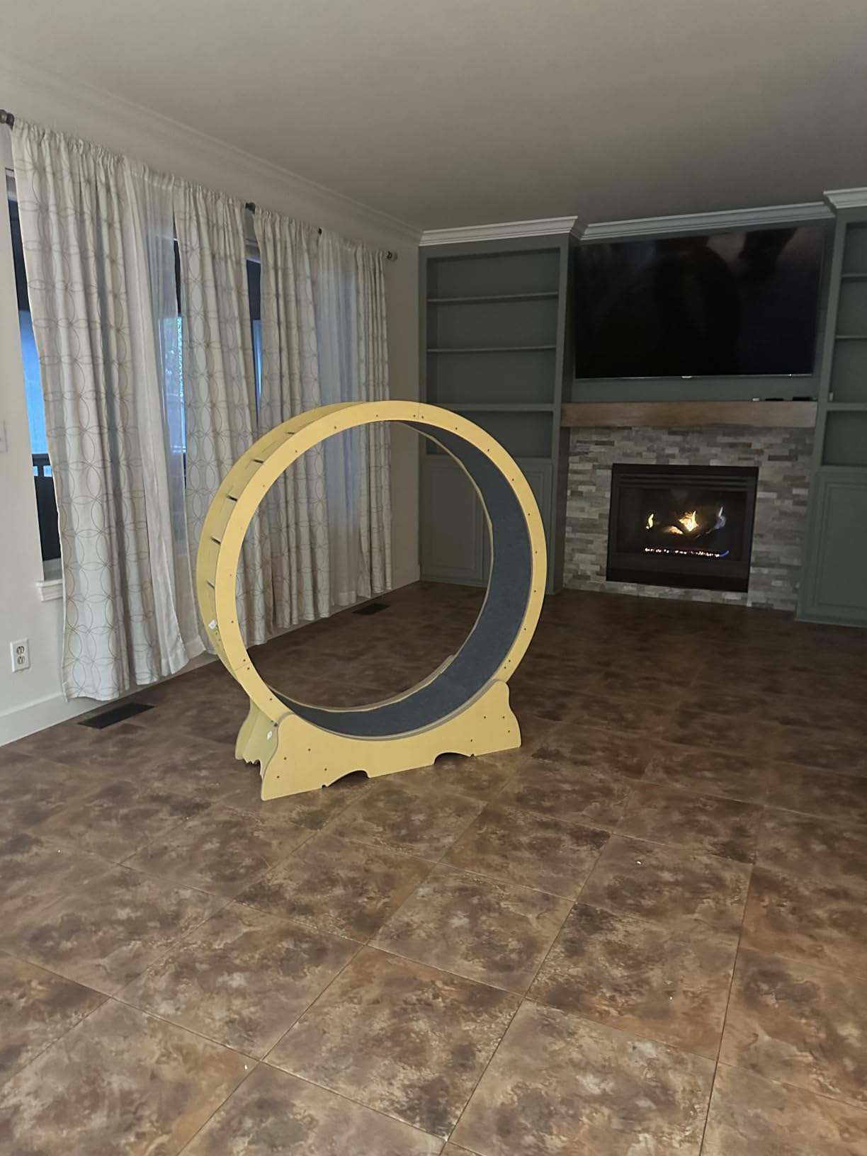 Cat Wheel for Indoor Cats, 48 Inch Diameter Exercise Running Wheel | Enhanced Base, Safety Lock, Quiet, For Cat's Longer Life Fitness, Wide Surface, Low-Entry Design, Easy Assembly, Natural Wood customer photo 2