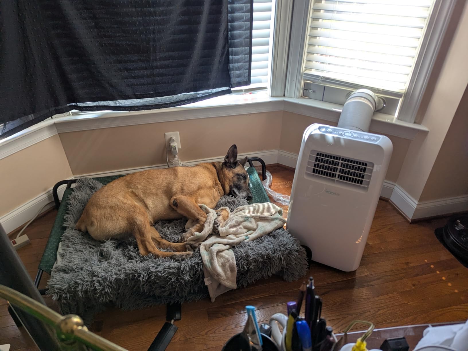 SereneLife 10,000 BTU Portable Air Conditioner with Dehumidifier & Fan | Portable AC Unit with WiFi for Wide Area Climate Control | Compact Standing Air Conditioner with Window Kit customer photo 1