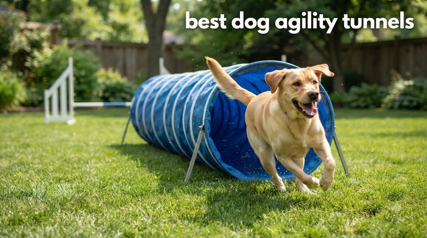 best dog agility tunnels