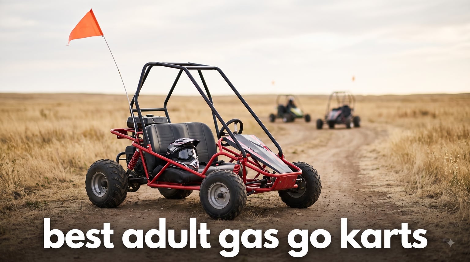 best adult gas go karts