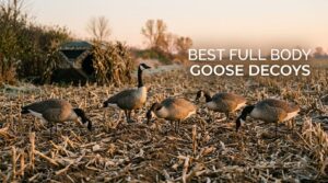 best full body goose decoys