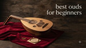 best ouds for beginners