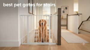 best pet gates for stairs
