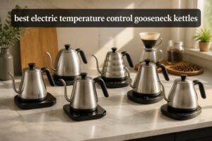 best electric temperature control gooseneck kettles