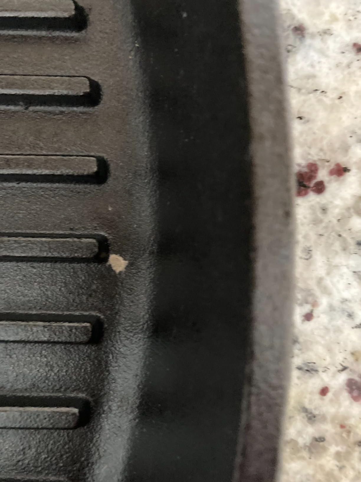 Lodge Square Cast Iron Grill Pan, PFAS-Free, 10.5 Inches customer photo 1
