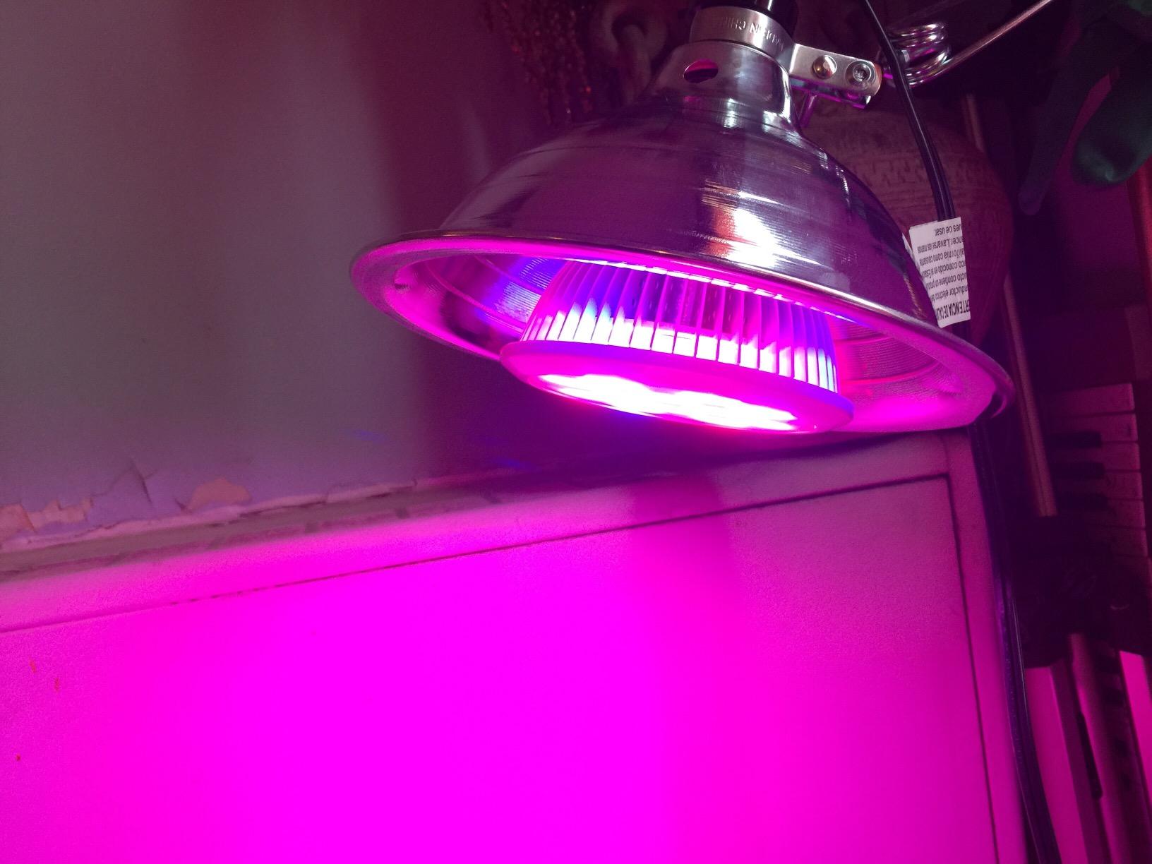 Woods Clamp Lamp Light with Aluminum Reflector; 150W; UL Listed; 6- Foot Cord customer photo 2