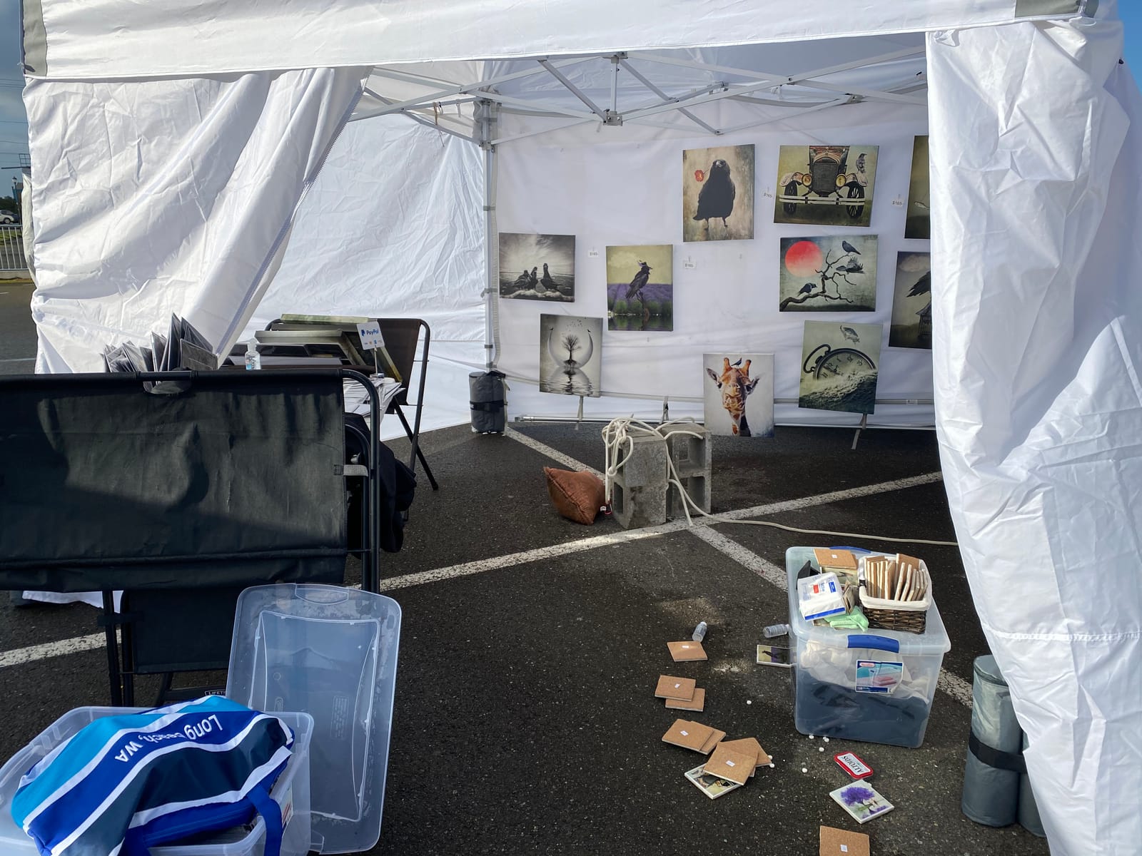 E-Z UP ES100S Instant Commercial Pop Up Canopy Tent, 10' x 10' with 3 Sidewalls, 1 Mid-Zip Sidewall and Wide-Trax Roller Bag, White customer photo 2