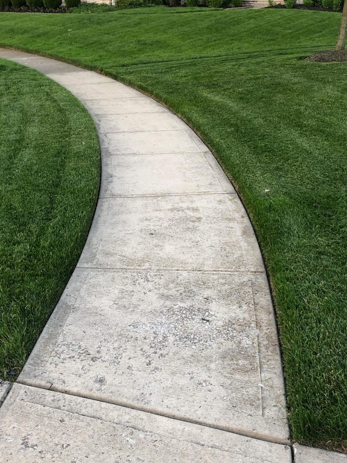 McLane 9 Inch Gas Powered Walk Behind Lawn Edger with 4 Rubber Wheels, 5.50 Gross Torque Engine and Spring Steel Blade, Powder Coat Finish, Red/Yellow customer photo 1