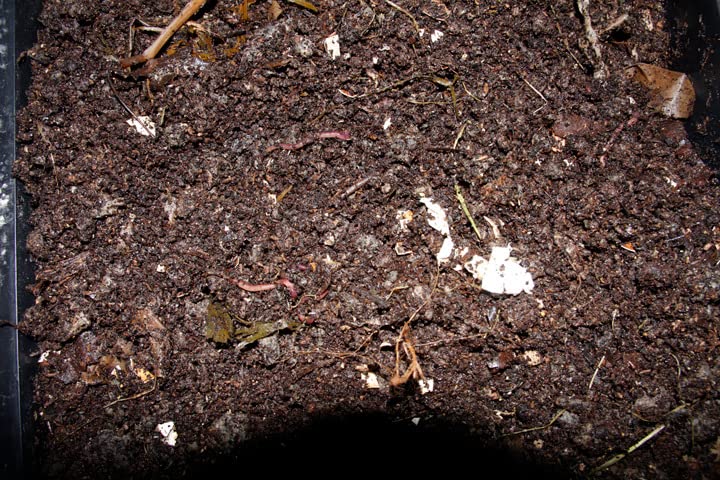 Worm Factory 360 Black US Made Composting System for Recycling Food Waste at Home - 4 Trays for Efficient Vermicomposting customer photo 1