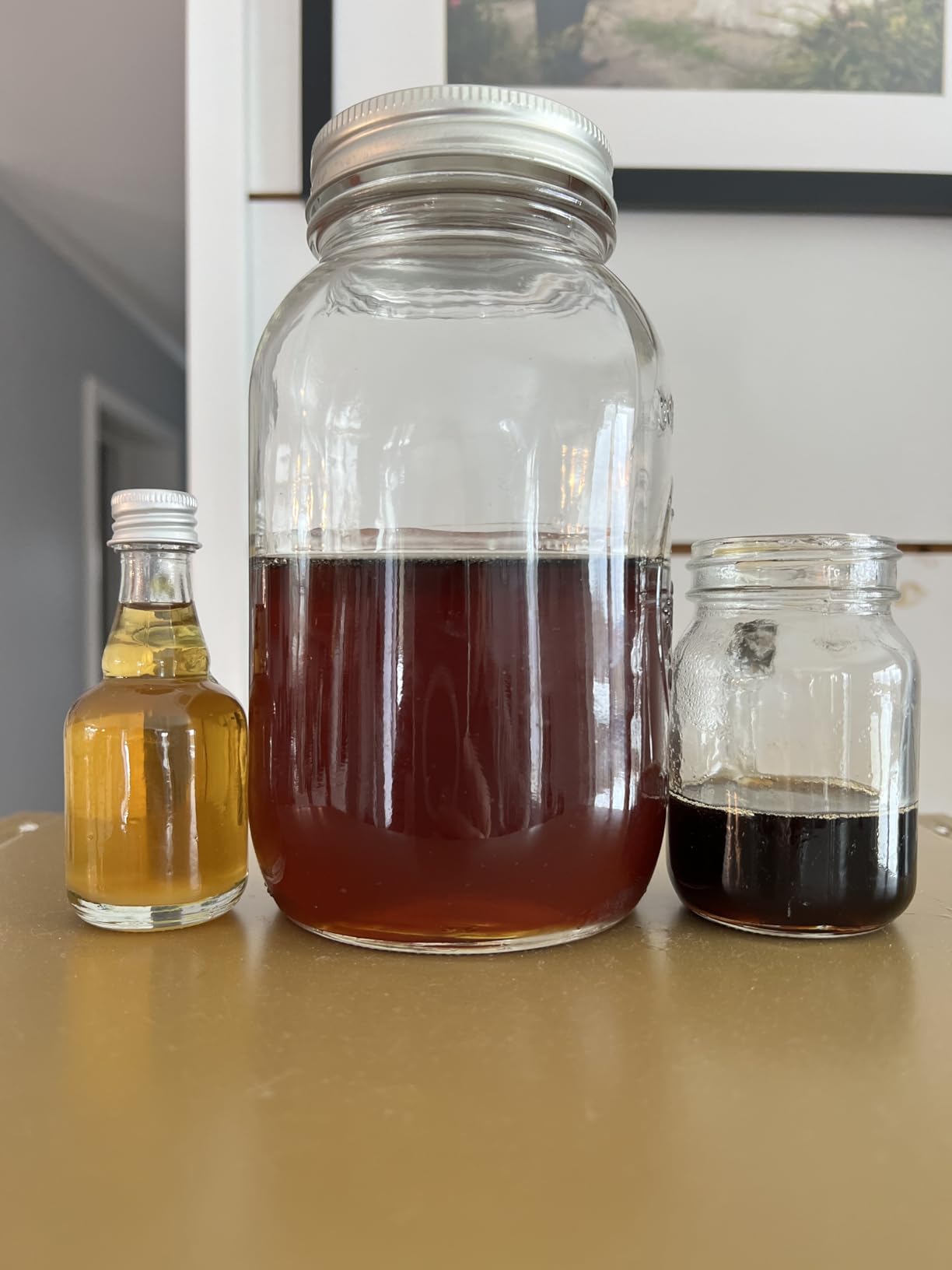 Tap My Trees Maple Sugar Starter Kit, Silver customer photo 2