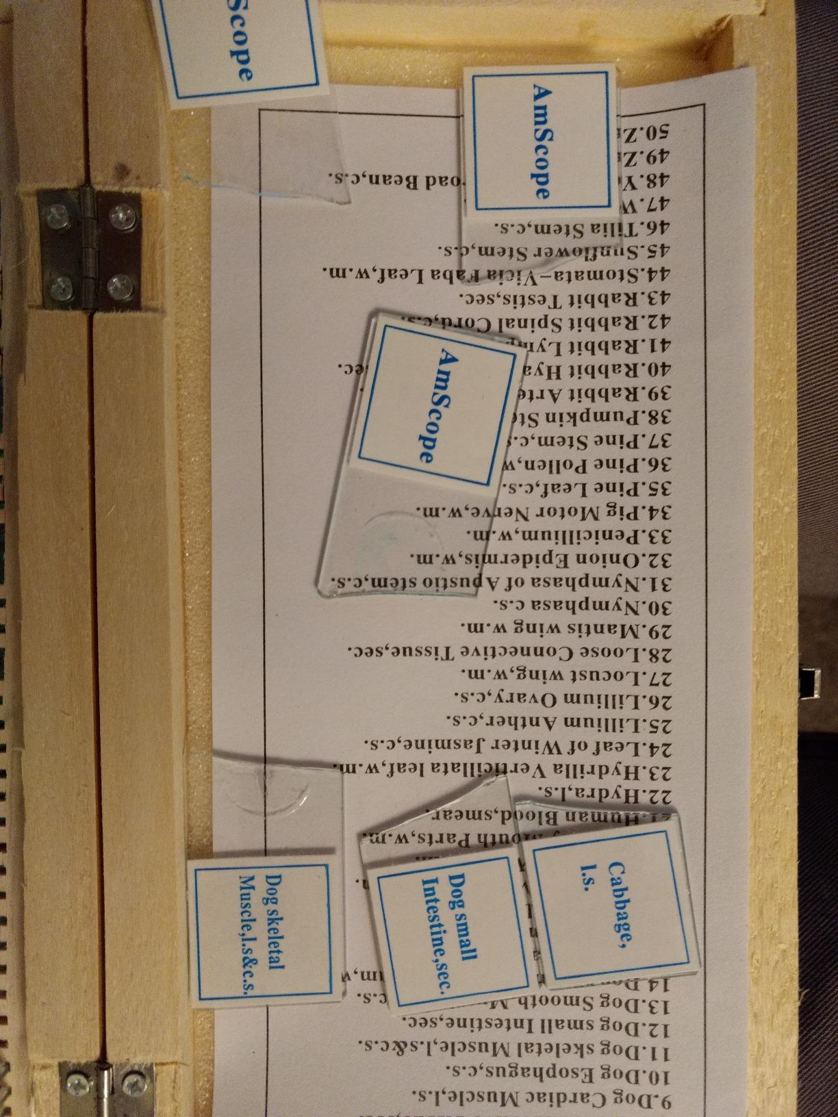 AmScope PS50 Prepared Microscope Slide Set, 50 Slides customer photo 1