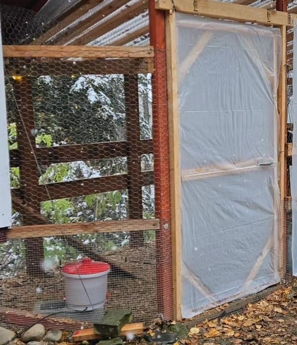 Farm Innovators HB-60P Thermostatically Controlled Heated 2 Gallon Plastic Outdoor Year Round Poultry Chicken Water Bucket Drinker, White/Red | Thermostatically controlled to keep water from freezing, side mounted drip-free/freeze-free nipples for up to 15 chickens customer photo 2