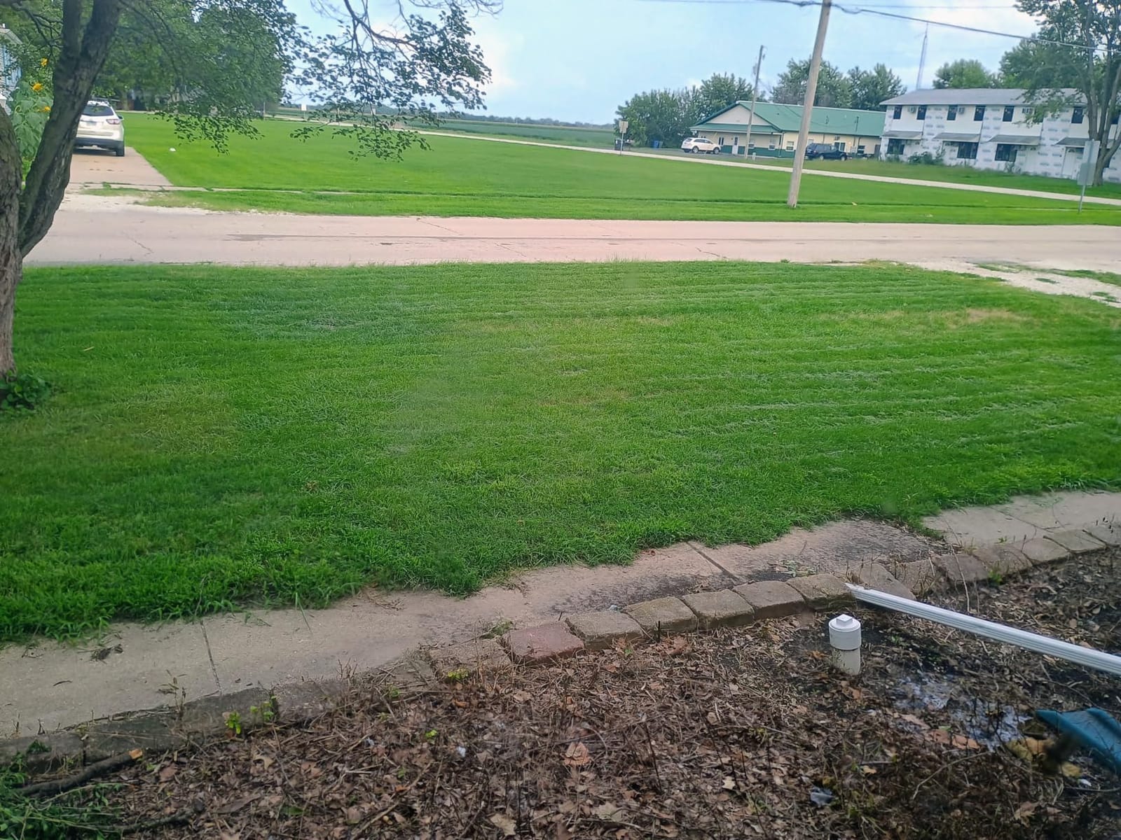 Greenworks Replacement Lawn Mower Blades (Fits : 20' Mower / 25302) customer photo 1