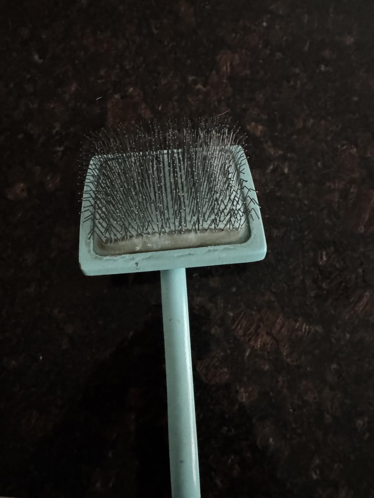 Chris Christensen Big G Dog Slicker Brush for Dogs (Goldendoodles, Labradoodles, Poodles), Groom Like a Professional, Fluff Detangle Style, Saves Time Energy, Coral, Large customer photo 2
