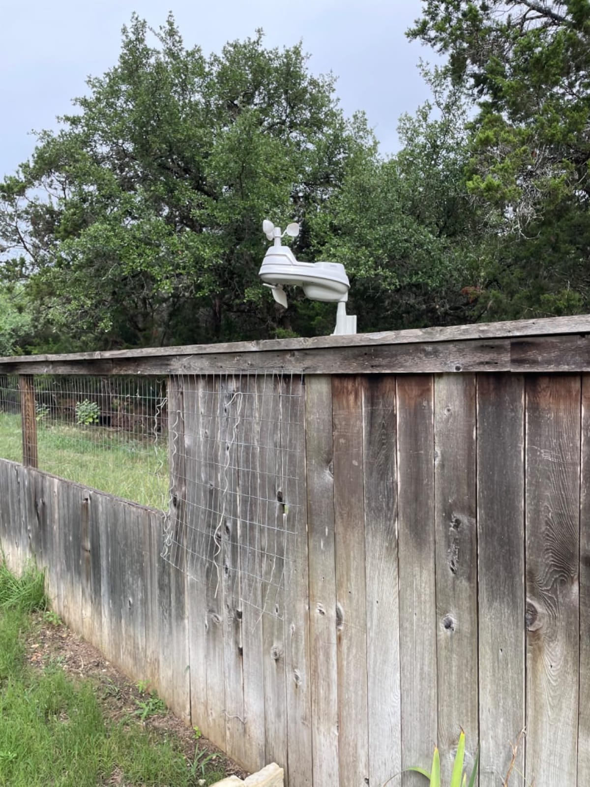 AcuRite Iris (5-in-1) Weather Sensor with Rain Gauge, Wind Speed, Wind Direction, Temperature and Humidity (06004M) customer photo 1
