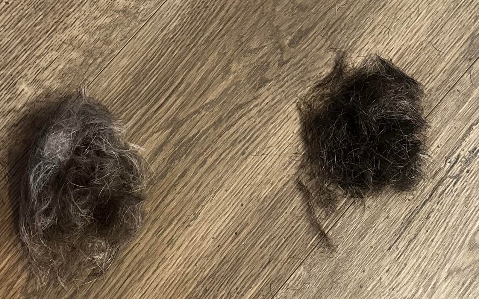 SleekEZ Dog Brush for Shedding | Patented Deshedding Dog Brush | Pet Hair Remover for Short, Medium & Long Coats | Made in USA | 5 Inch customer photo 1